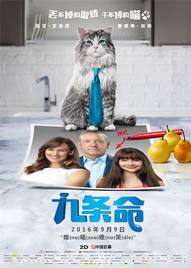 亚洲精品视频二区