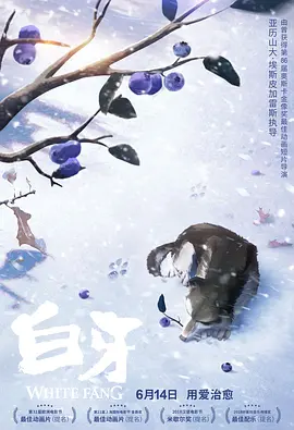 男女激情网站